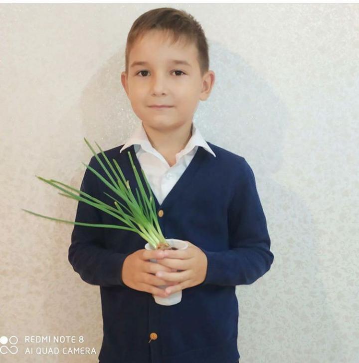 Проект "Растения на подоконике"