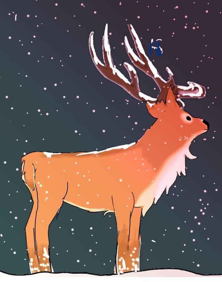 Конкурс рисунков среди учеников 7 классов