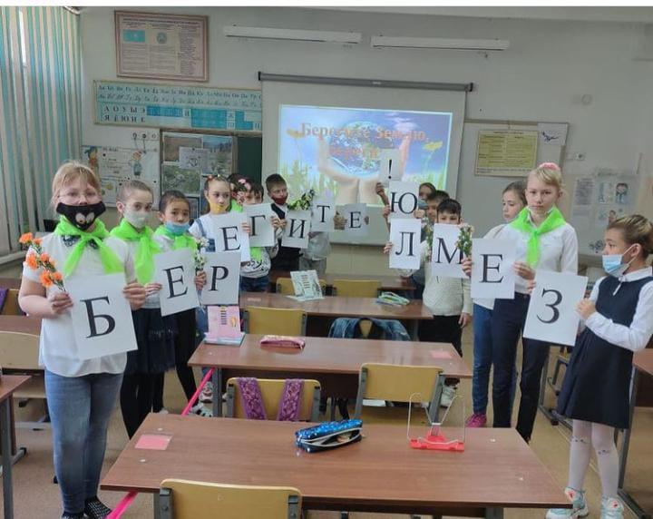 "Берегите землю" проект