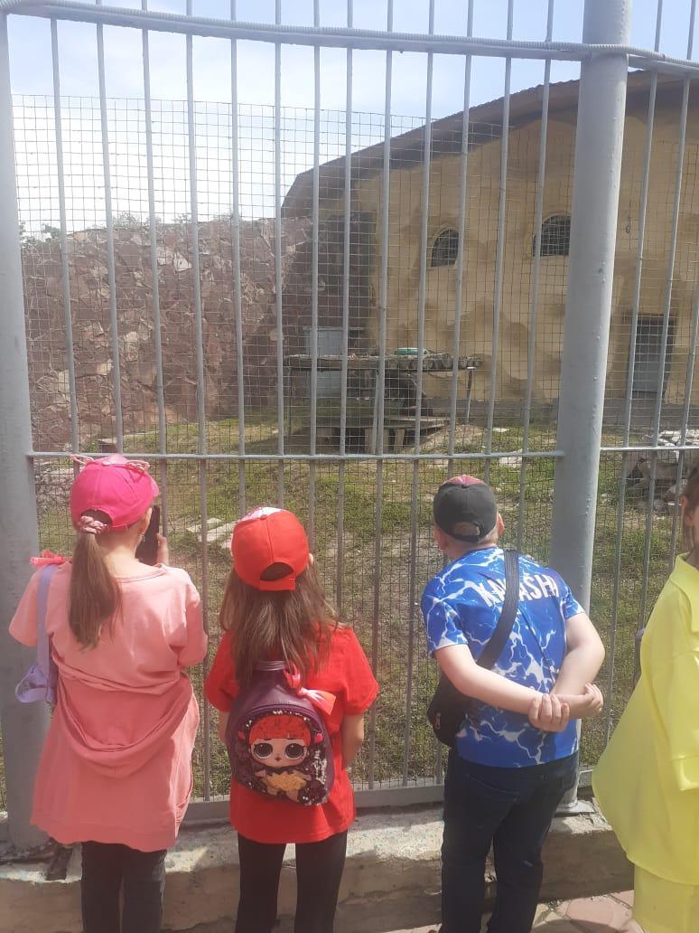 Посещение зоопарка с детьми .