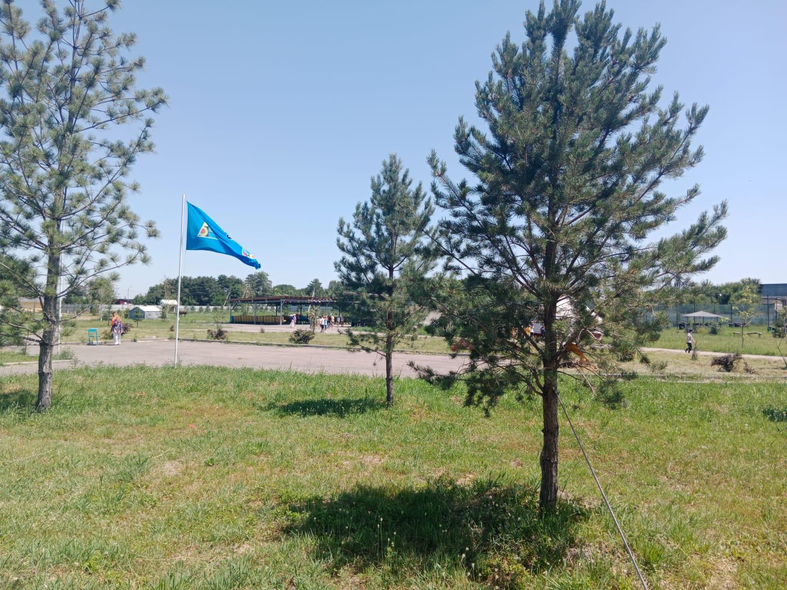 Оқушылардың жазғы демалысын ұйымдастыру